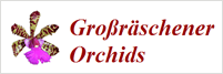 Grossraeschener Orchids