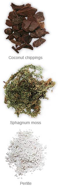 Potting mixes - Coir, sphagnum moss and perlite