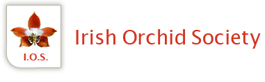 Irish Orchid Society