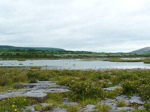 The Burren, County Clare
