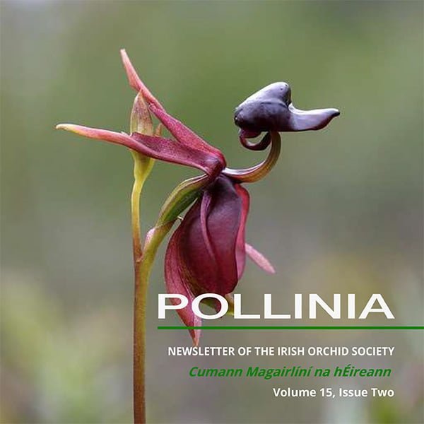 Pollinia July 2017