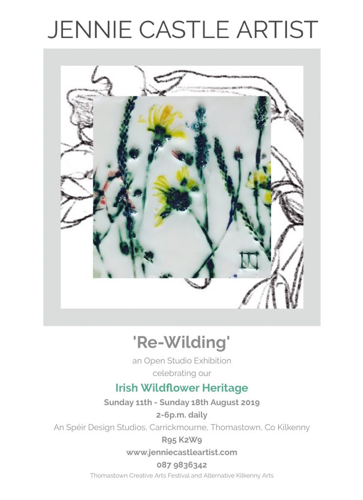 Re-Wilding exhibition by Jennie Castle 11-18 Aug 2019