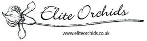 Elite Orchids