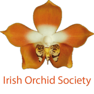 Standard Family Membership